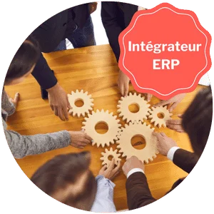 integrateur erp