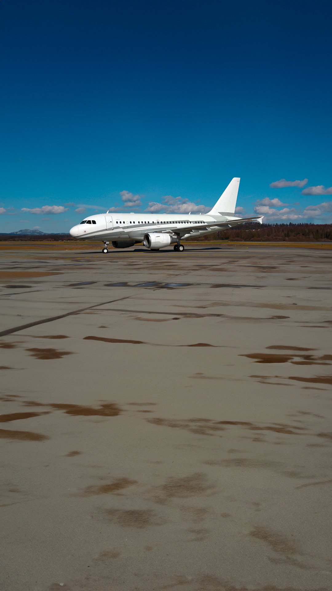 AIRBUS ACJ318